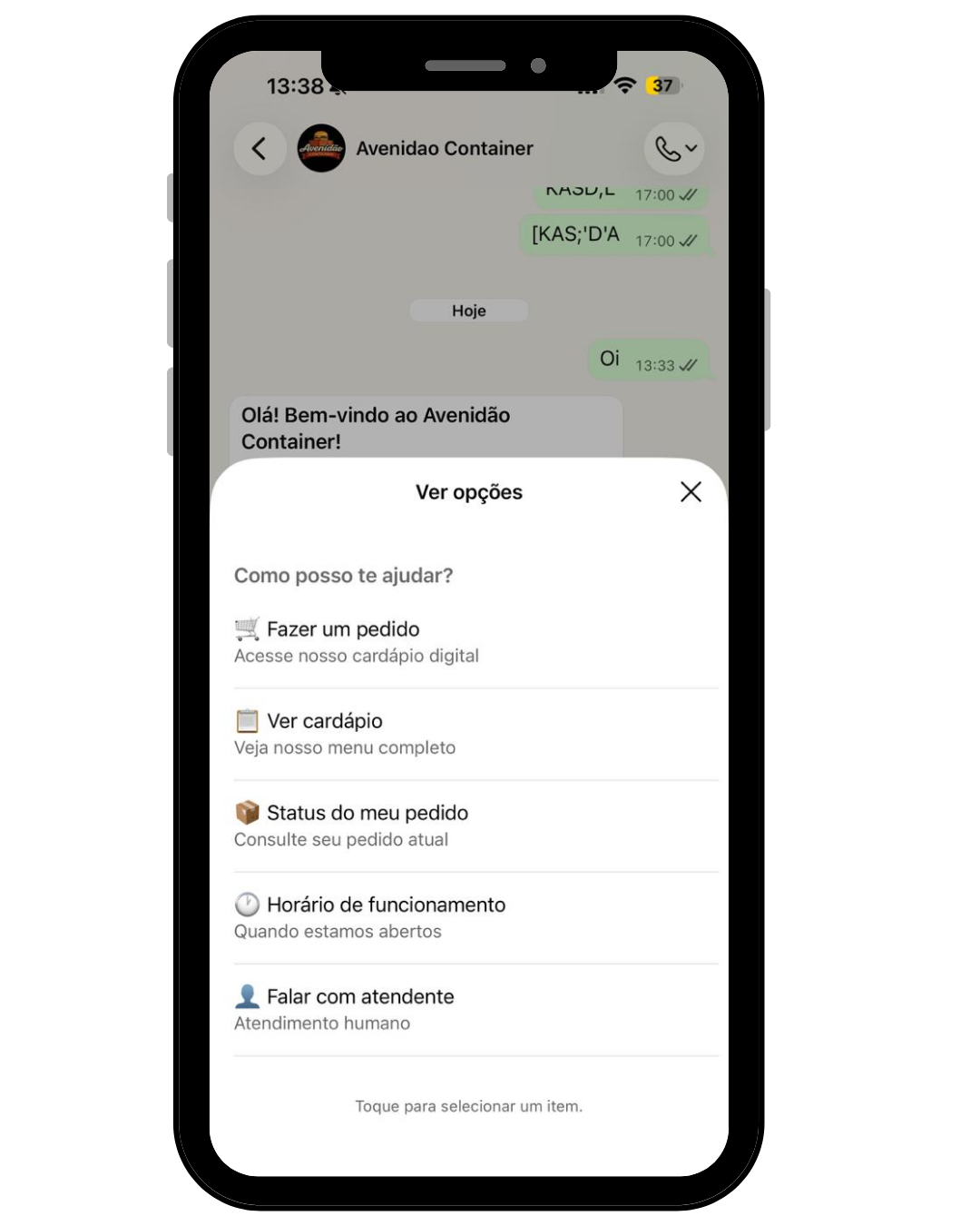 Bot WhatsApp - menu de opções